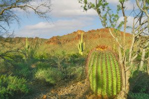 Gates Pass Tucson AZ