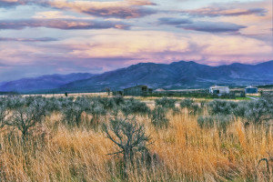 US 50 Utah 2