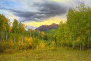 Kebler Pass CO