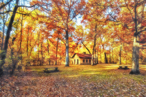 Carpenter Park Springfield IL