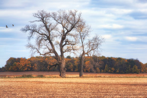 Sweetwater IL