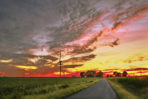 Burtonview IL