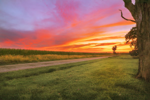 Lawndale IL