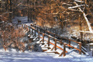 Kickapoo Park 2 Lincoln IL