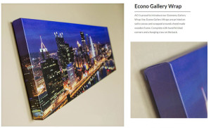 Economy Canvas