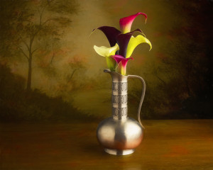 Calla Lily