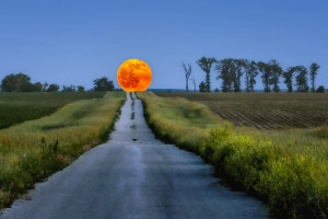 Harvest Moon