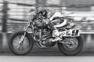 Mees BW Springfield