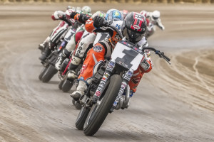 Mees Springfield Lead