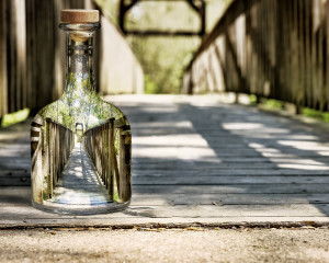 Bridge in a bottle