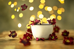 a cupful