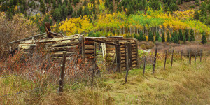 Ashcroft CO crop