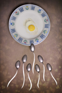 Sunny Side UP