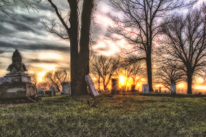Swing Grove Sunset