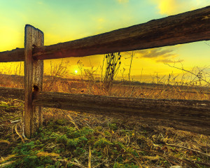 Don't fence me in