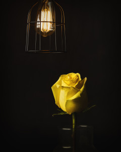 This little light of mine
