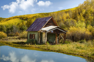 Love Shack