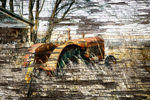 barnwood