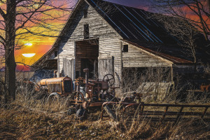 Rusty morning