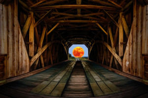 Bridge View