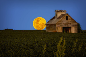 Crib Moon 2