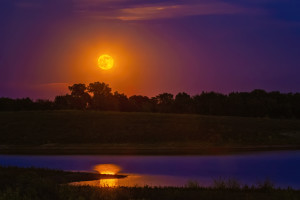 Moonrise 1