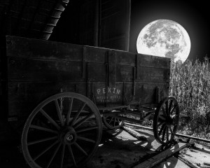 Moonlit