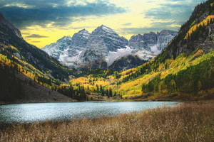 Aspen aspen