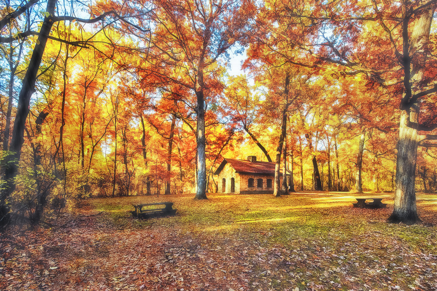 Carpenter Park Springfield IL