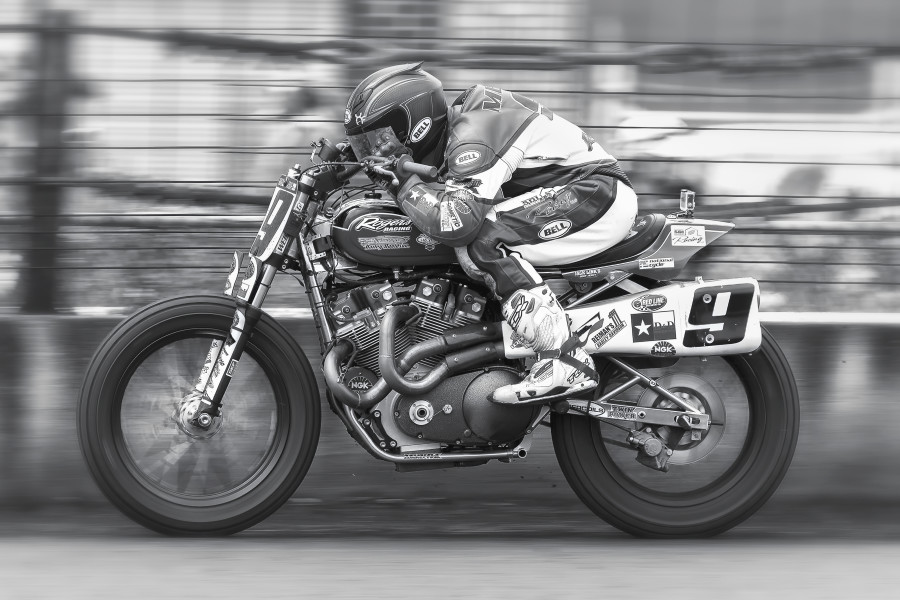 Mees BW Springfield