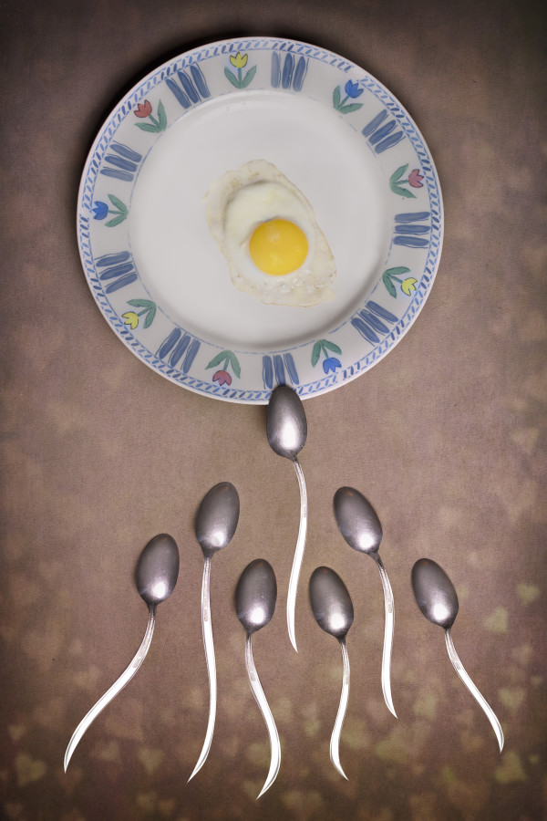Sunny Side UP