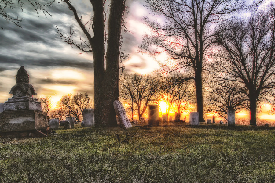 Swing Grove Sunset