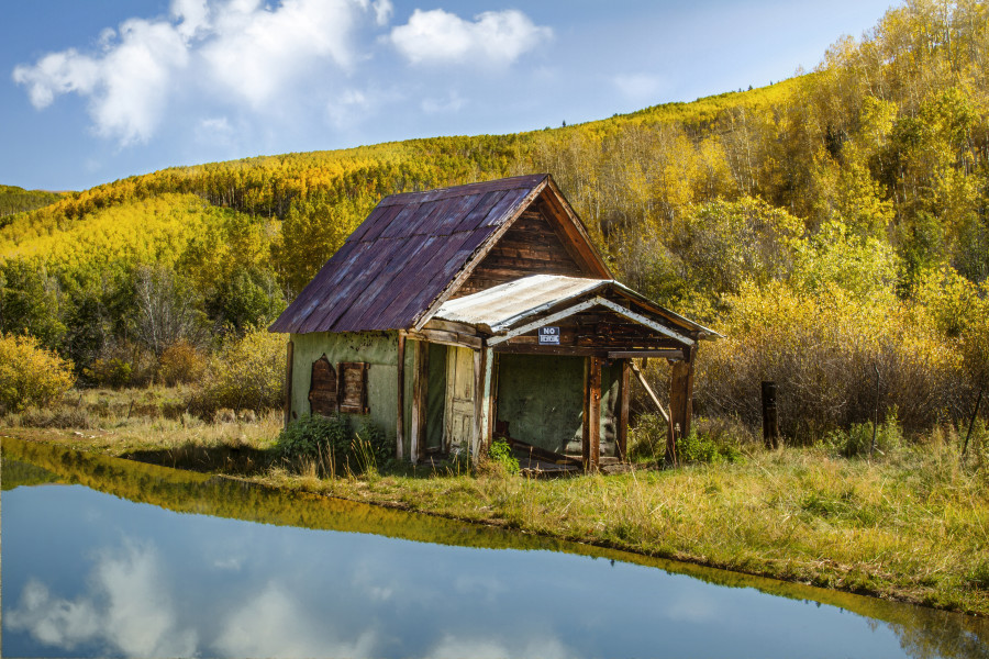 Love Shack