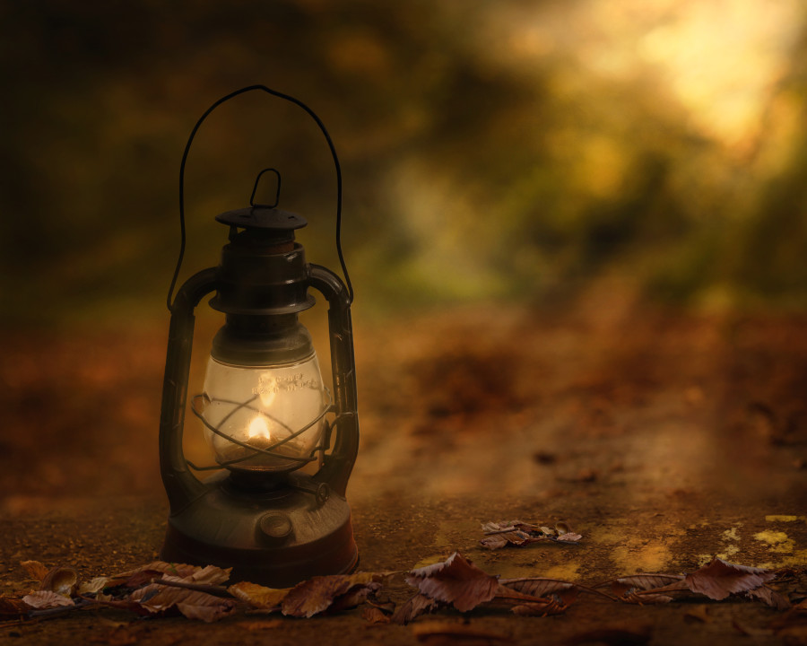 Keep me where the light is