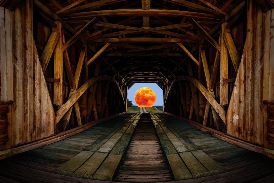 Bridge View