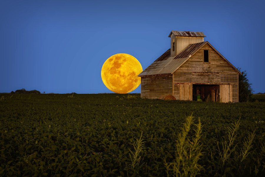 Crib Moon 2